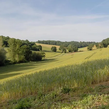 Avec Vue - Piscine Privee, Cuisine D'ete, Jeux Video Et Appareils De Fitness * Puygaillard